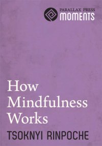 cover of the book How Mindfulness Works