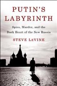 cover of the book Putin's labyrinth: spies, murder, and the dark heart of the new Russia