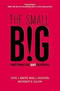 cover of the book The small big: small changes that spark big influence