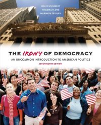 cover of the book Irony of Democracy