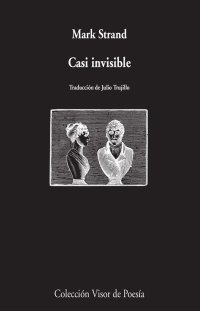 cover of the book Casi invisible