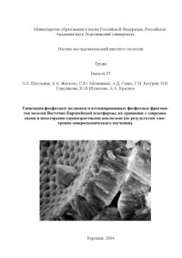 cover of the book Типизация фосфатных желваков и ассоциированных фосфатных фрагментов мезозоя Восточно-Европейской платформы, их сравнение с современными и некоторыми одновозрастными аналогами (по результатам электронно-микроскопического изучения). Учебное пособие