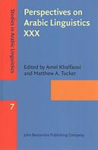 cover of the book Perspectives on Arabic linguistics XXX. Papers from the annual symposia on Arabic Linguistics, Stony Brook, New York, 2016 and Norman, Oklahoma, 2017.