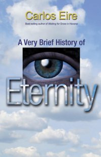 cover of the book A Very Brief History of Eternity