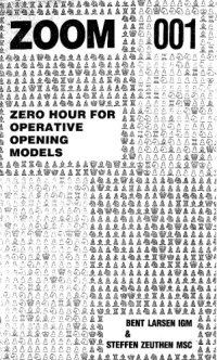 cover of the book ZOOM 001 : zero hour for operative opening models