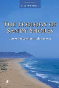 cover of the book The Ecology of Sandy Shores, Second Edition