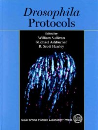 cover of the book Drosophila Protocols