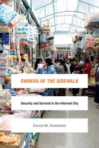 cover of the book Owners of the Sidewalk: Security and Survival in the Informal City