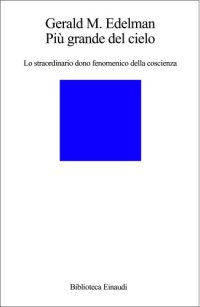 cover of the book Più grande del cielo. Lo straordinario dono fenomenico della coscienza