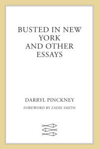 cover of the book Busted in New York and Other Essays