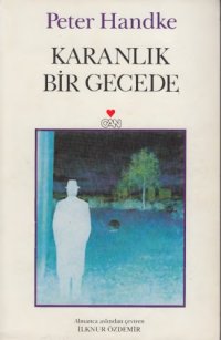 cover of the book Karanlık bir gecede roman