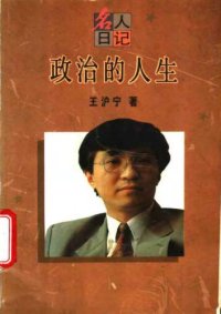 cover of the book 政治的人生