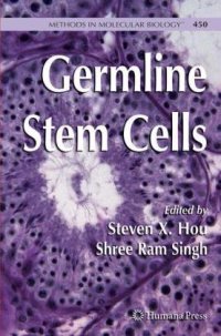 cover of the book Germline Stem Cells