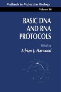 cover of the book Basic DNA and RNA Protocols