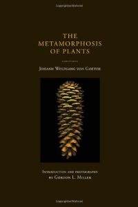 cover of the book The metamorphosis of plants