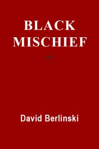 cover of the book Black Mischief: Language, Life, Logic, Luck