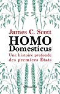 cover of the book Homo Domesticus : Une histoire profonde des premiers états