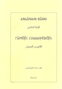 cover of the book كتابة أنداندى. القاموس المصوّر