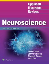 cover of the book Lippincott Illustrated Reviews: Neuroscience