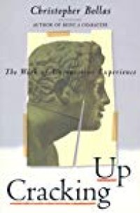 cover of the book Cracking Up: The Work of Unconscious Experience