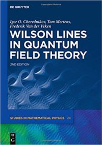 cover of the book Wilson Lines in Quantum Field Theory