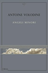 cover of the book Angeli minori