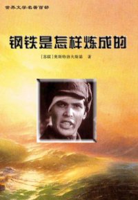 cover of the book 钢铁是怎样炼成的