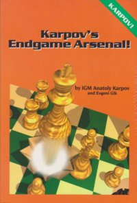 cover of the book Karpov’s endgame arsenal!