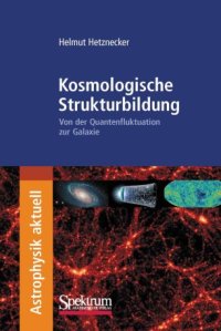 cover of the book Kosmologische Strukturbildung: Von der Quantenfluktuation zur Galaxie