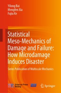 cover of the book Statistical Meso-Mechanics of Damage and Failure: How Microdamage Induces Disaster: Series Publication of Multiscale Mechanics