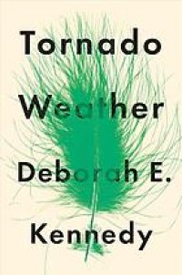 cover of the book Tornado weather