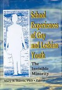 cover of the book School experiences of gay and lesbian youth : the invisible minority