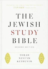 cover of the book The Jewish Study Bible