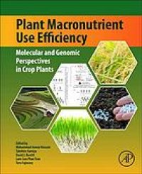 cover of the book Plant Macronutrient Use Efficiency: Molecular and Genomic Perspectives in Crop Plants