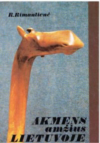 cover of the book Akmens amžius Lietuvoje