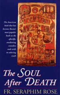 cover of the book The Soul After Death