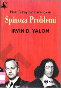 cover of the book Spinoza Problemi