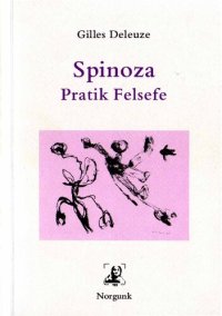 cover of the book Spinoza, Pratik Felsefe