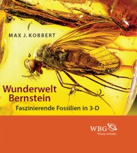 cover of the book Wunderwelt Bernstein: Faszinierende Fossilien in 3-D