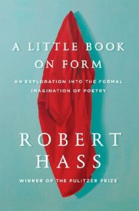 cover of the book A Little Book on Form