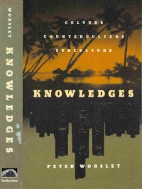 cover of the book Knowledges: Culture, Counterculture, Subculture