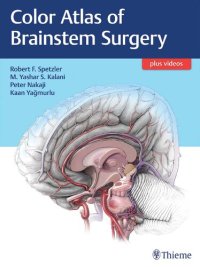 cover of the book Color atlas of brainstem surgery