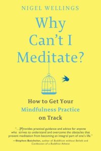 cover of the book Why Can't I Meditate?: How to Get Your Mindfulness Practice on Track