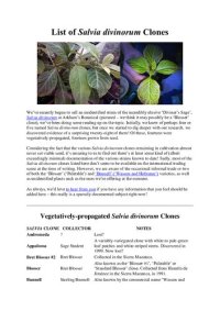 cover of the book List of Salvia Divinorum Clones