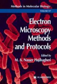 cover of the book Electron Microscopy Methods and Protocols