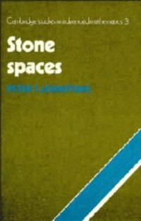 cover of the book Stone Spaces