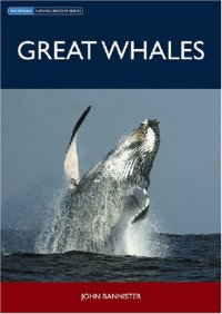 cover of the book Great Whales