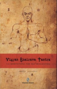 cover of the book 112 Meditations for Self Realization: Vigyan Bhairav Tantra