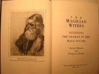 cover of the book The Magician Within: Accessing the Shaman in the Male Psyche