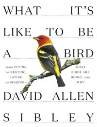 cover of the book What It's Like to Be a Bird: From Flying to Nesting, Eating to Singing--What Birds Are Doing, and Why